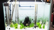 Aneka Aksesori Artifisial Akuarium Aneka Aksesori Artifisial Akuarium