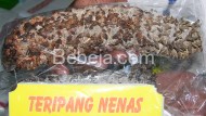 Ujung Duri Teripang Nanas Ujung Duri Teripang Nanas