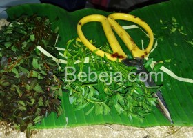 Pakai Alas Daun Pisang Pakai Alas Daun Pisang