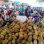 Gebyar Durian Fair 2016