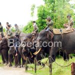 Patroli Gajah Di Taman Nasional Tesso Nilo