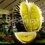 Patung Durian Di Bandara Changi