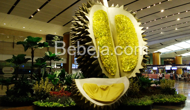 taman-durian-di-bandara-changi