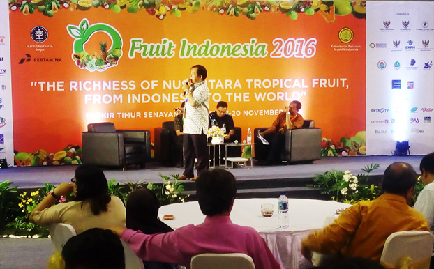 fruit-indonesia-2016