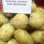 Kentang Jangkat Kabupaten Merangin