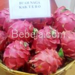 Buah Naga Merah Kabupaten Tebo