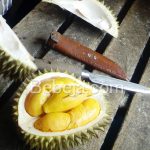 Pisau Kupas Durian