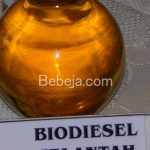 Potensi Biodiesel Jelantah